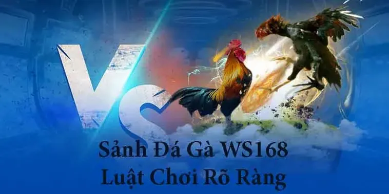 Trở Thành Cao Thủ Đá Gà WS168 Tại SunWin Chỉ Sau Vài Phút