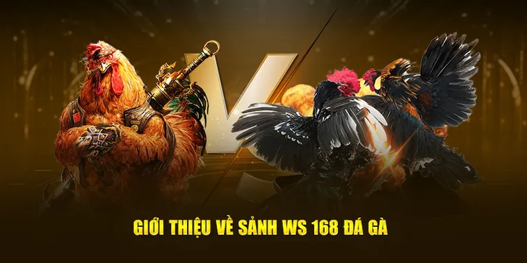 Trở Thành Cao Thủ Đá Gà WS168 Tại SunWin Chỉ Sau Vài Phút